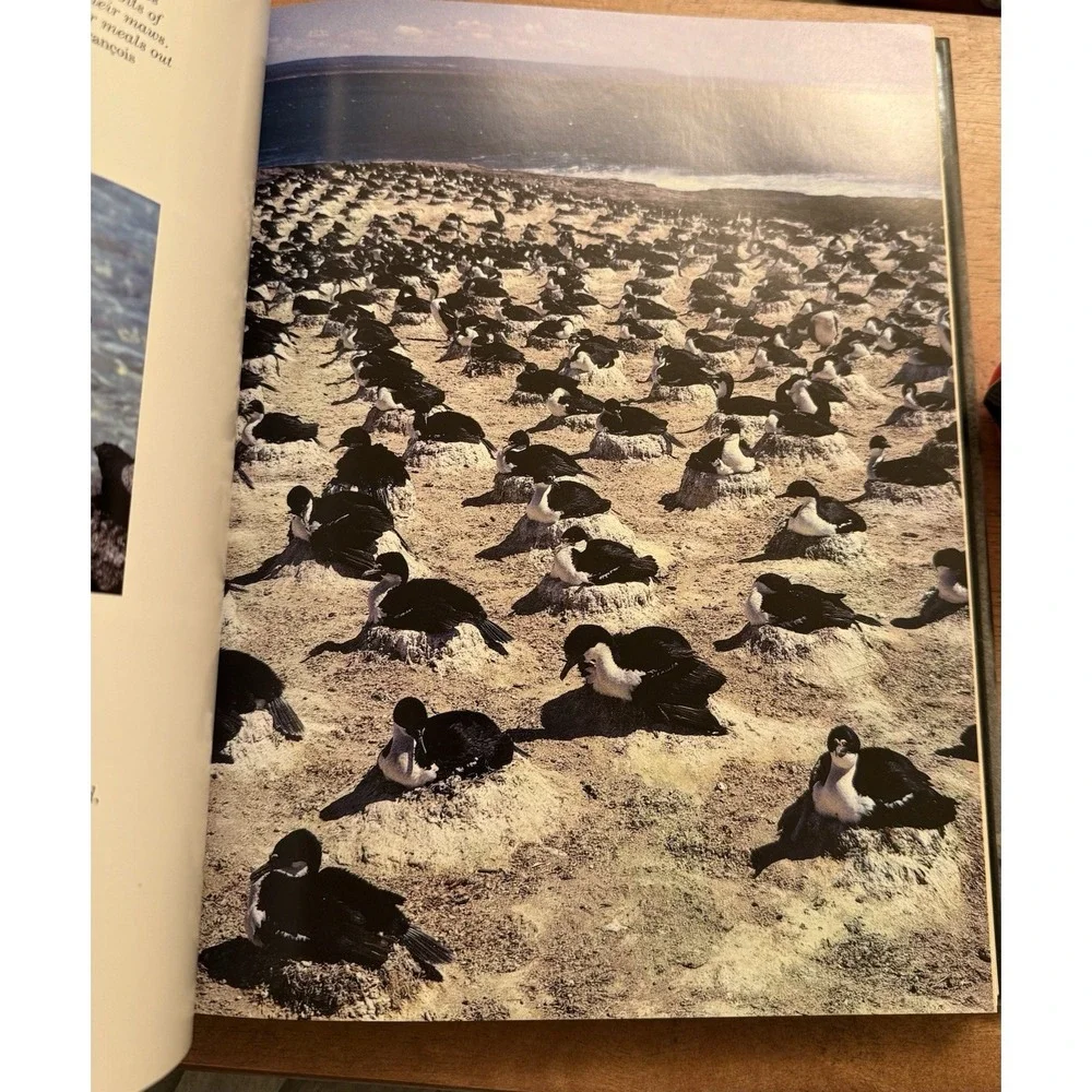 Audubon Society Book of Water Birds 1987 Abrams‎ Les Line